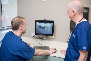 dental staff examining an x-ray